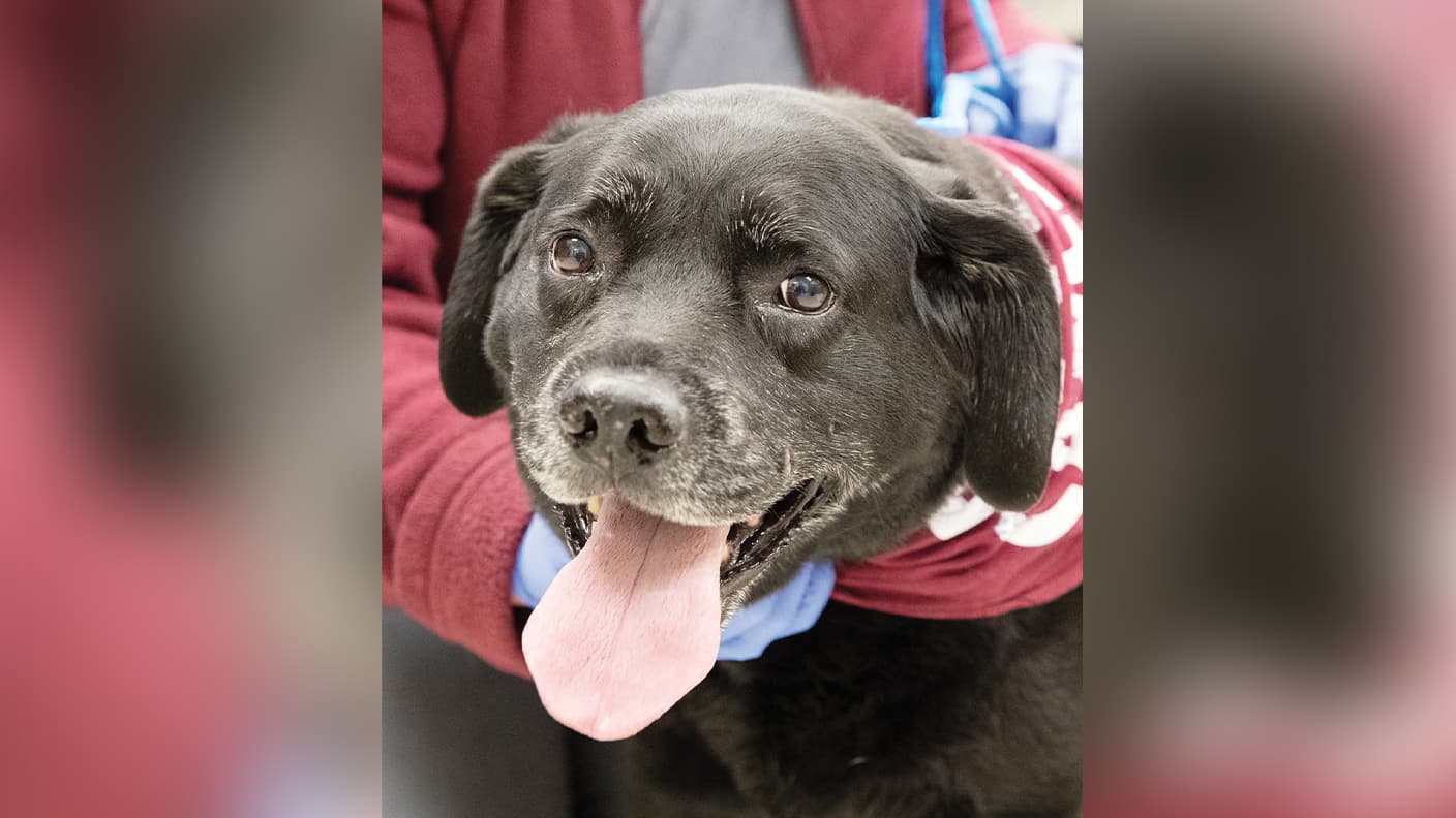 071221 VetsforValor-Blog-3