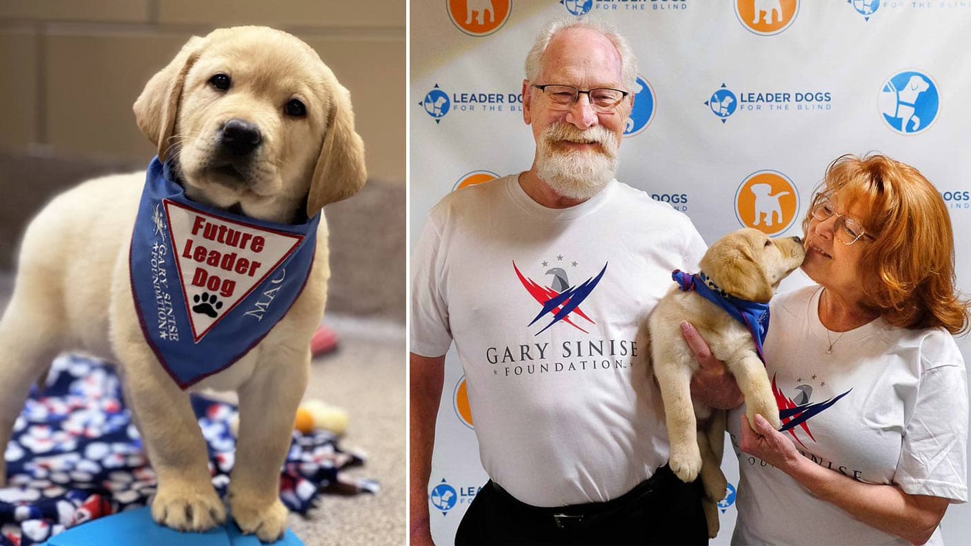 Pup-Date From Future GSF Service Dog "Mac!"