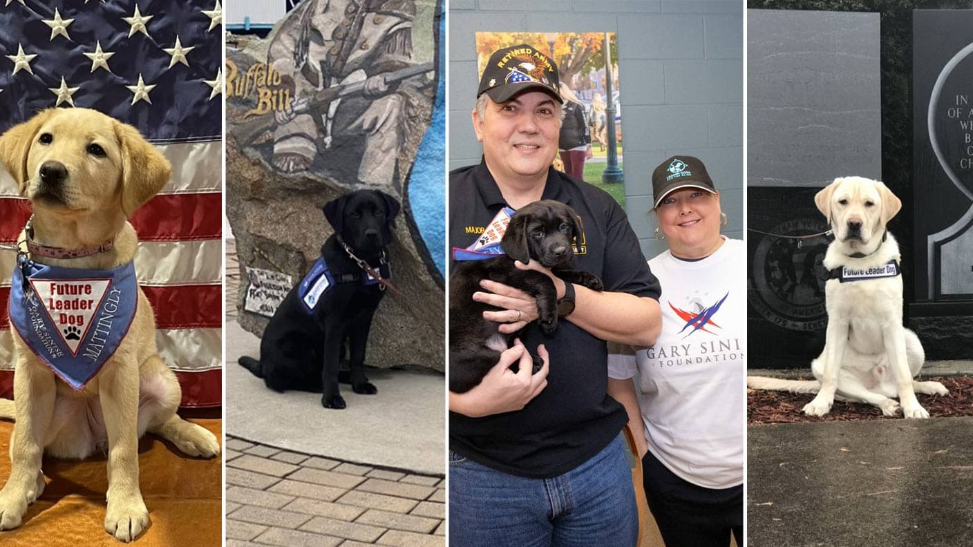 Pup-Dates From Future GSF Service Dogs Forrest, Jenny, Mattingly & Taylor